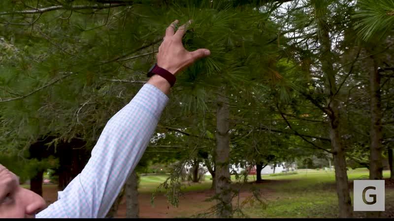 John shares his battle with cancer and treatment at Geisinger.