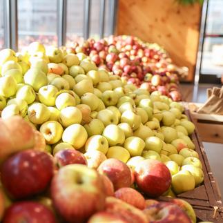 Gastroentology-Fresh produce Apples 2