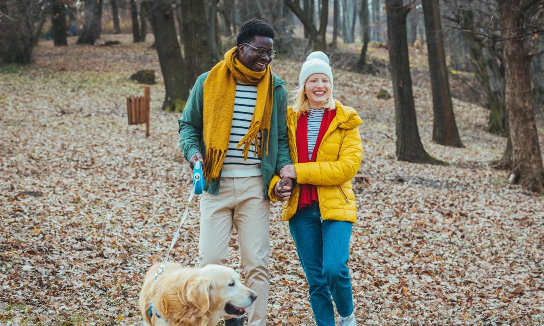 Young couple having picnic with their dog in the park.
