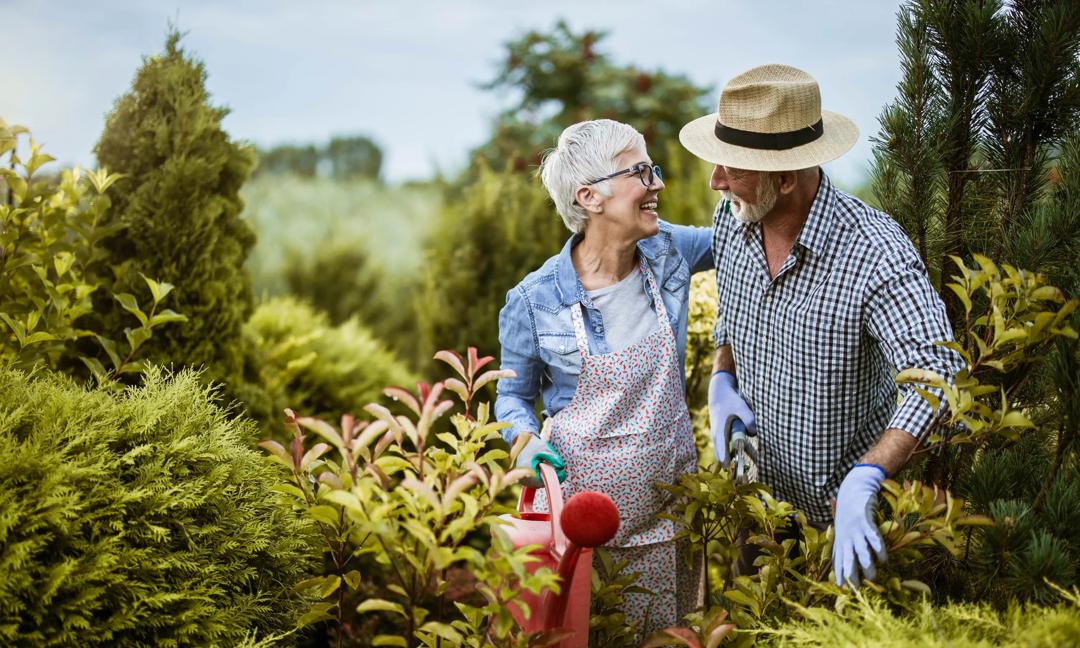 Happy senior couple talking while gardening in the back yard.