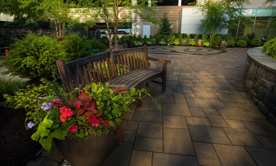 Healing Garden