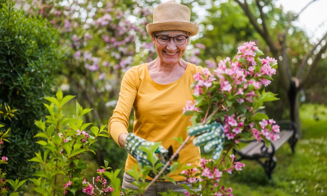 Senior woman gardening