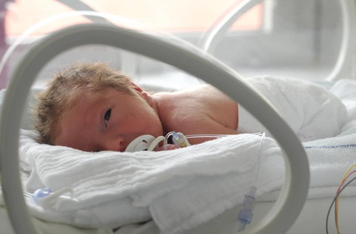Newborn baby in incubator with a pacifier 