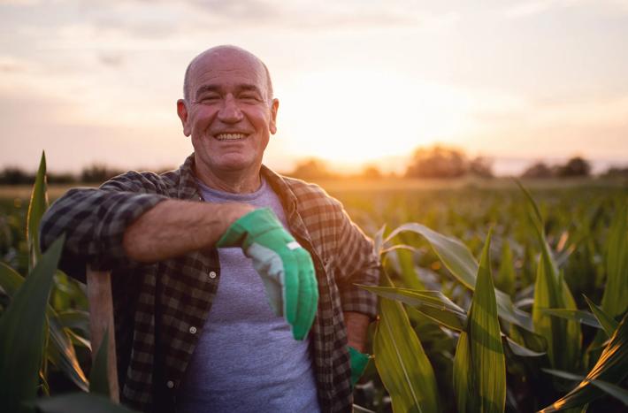 A farmer stands amongst a field of corn
